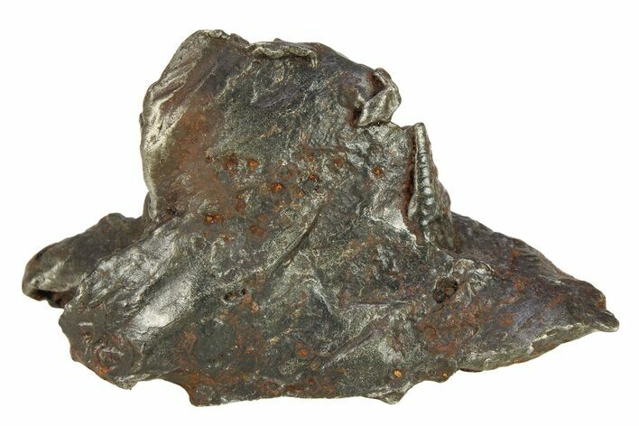Sikhote-Alin Iron Meteorite Shrapnel ( g) - Russia #287728